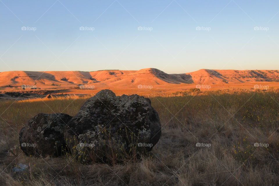 Landscape by Knights Ferry in Oakdale CA.