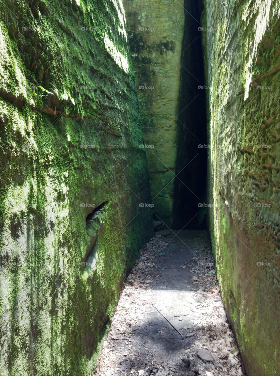 Shawnee national forest 