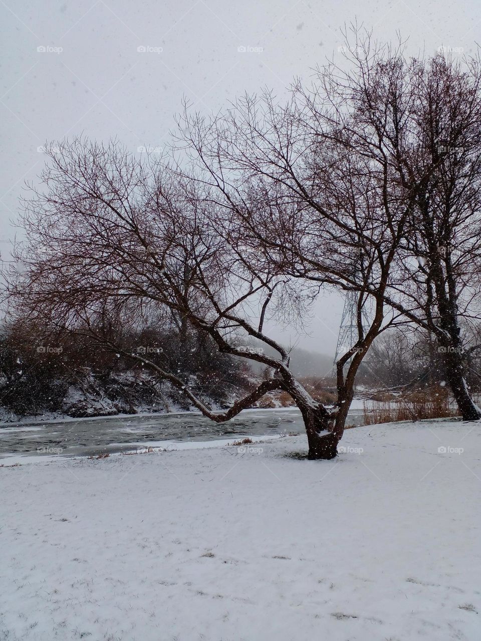 Battle: Winter vs. Spring