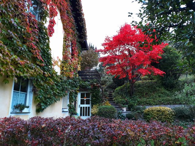 Beautiful garden during autumn season