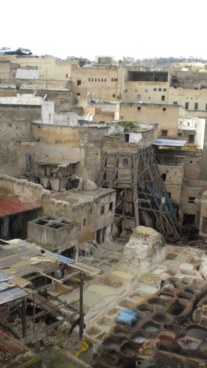 morrocan tannery - fez city