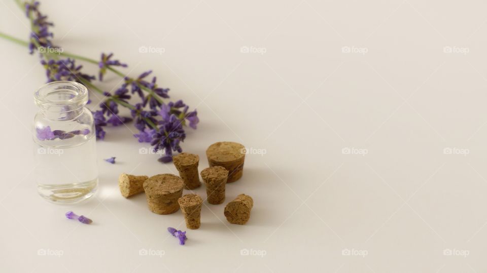 Lavender flowers in oil