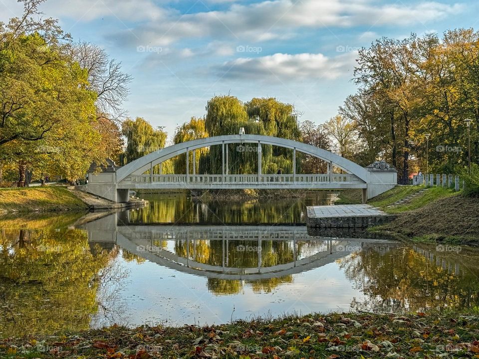 White bridge with arch and the reflection of the bridge in the water pond in the autumn park, trees with green and yellow leaves, blue sky, Poland, Świdnica 