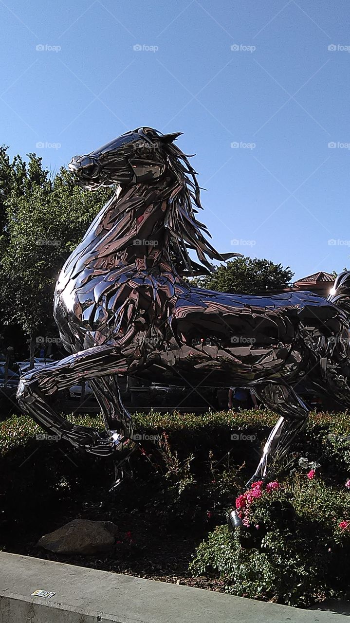 Iron Horse. Stopping by the grocery store