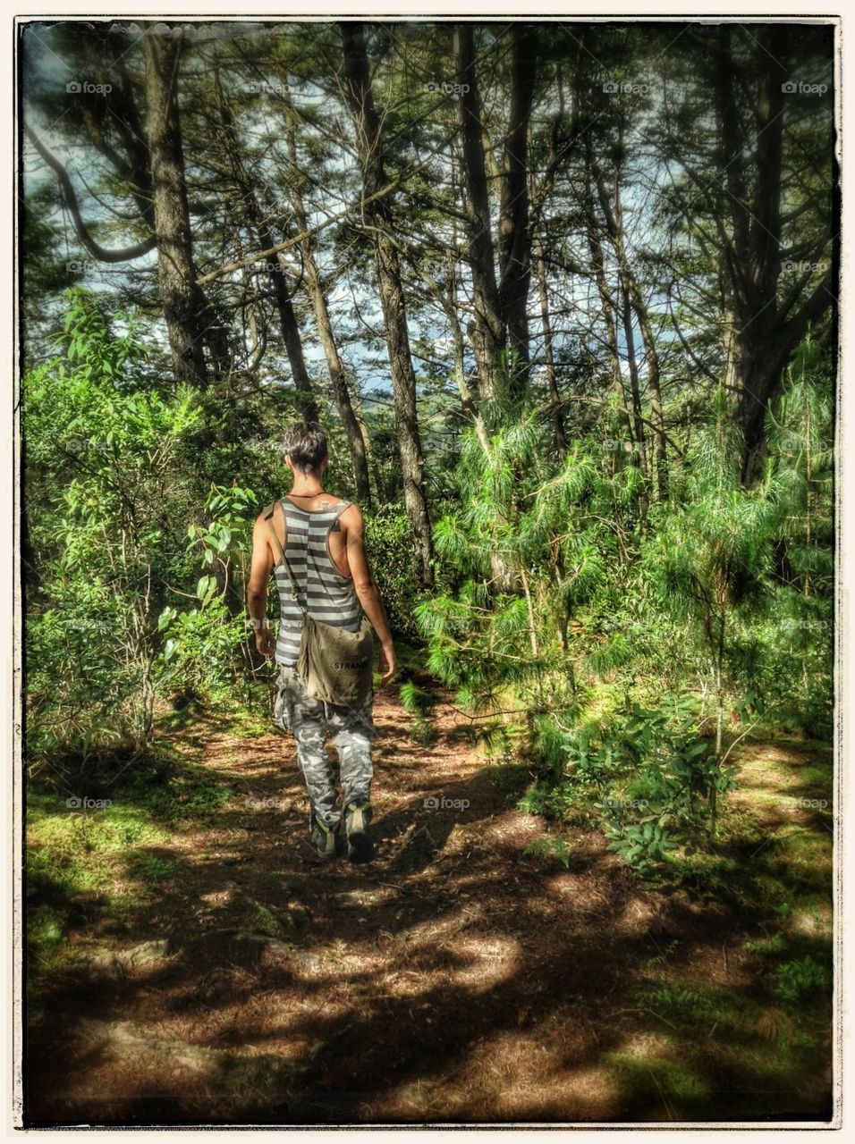 Walking the forest. Walking the morning forest in Medellin hill park