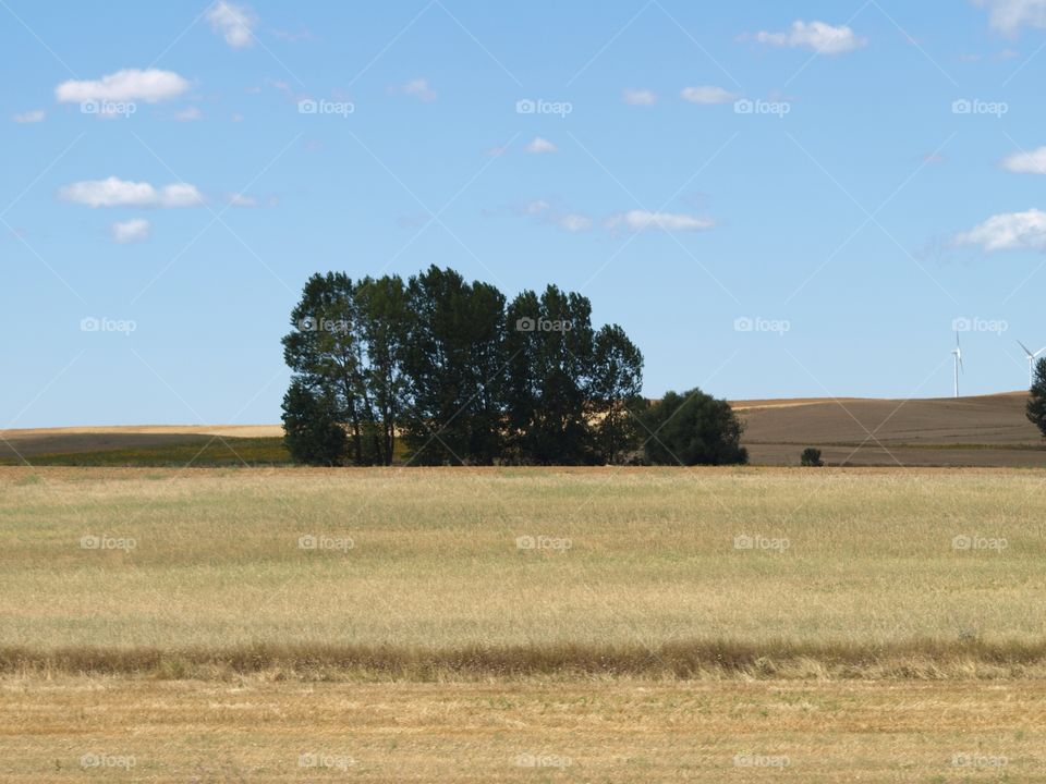 Meseta castellana