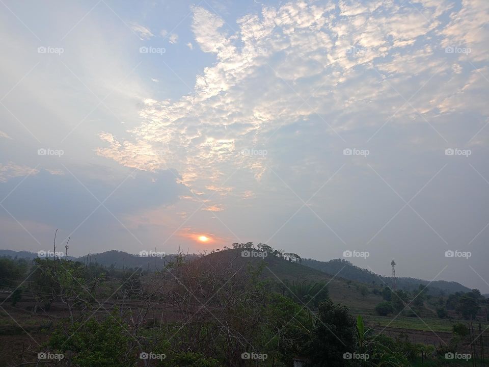 sky is hazy weather the morning time
morning cute image of nature
wild@forest area