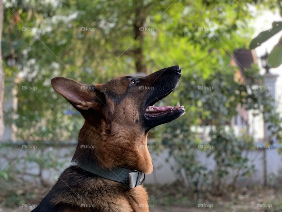 Let look up high people 