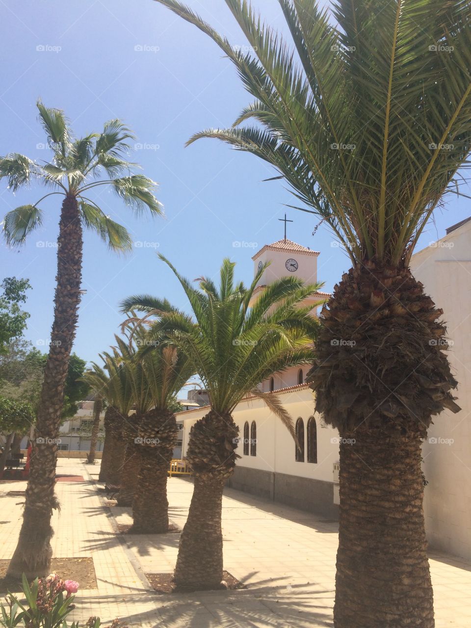 A moment to feel good 