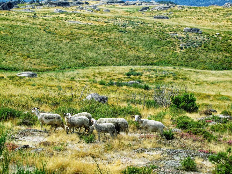 Cities and countrysides mission