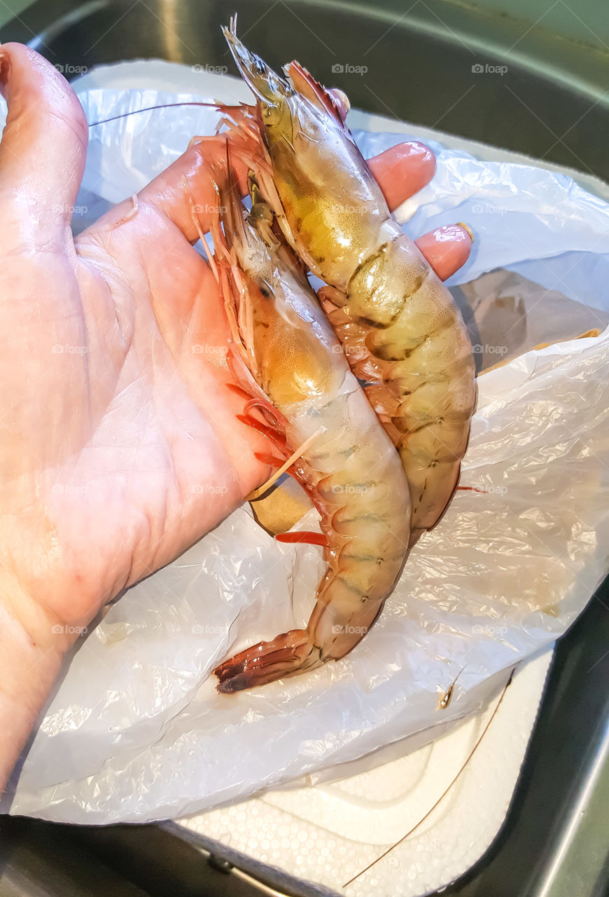hand holding fresh raw gulf coast shrimp