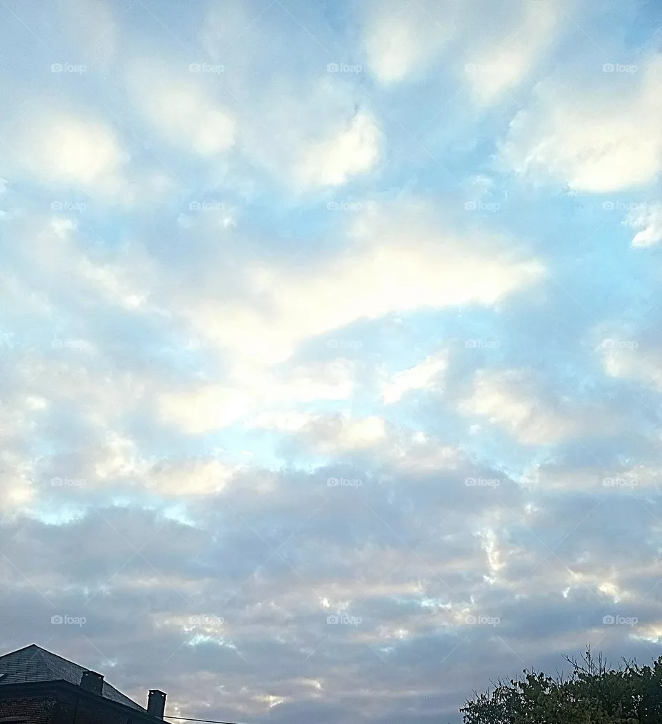 The sky