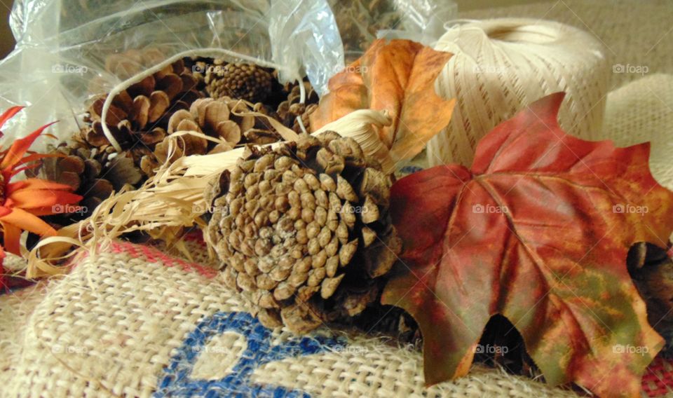 autumn crafts