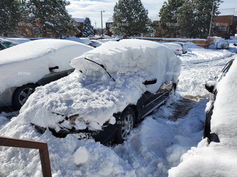 removing snow from car