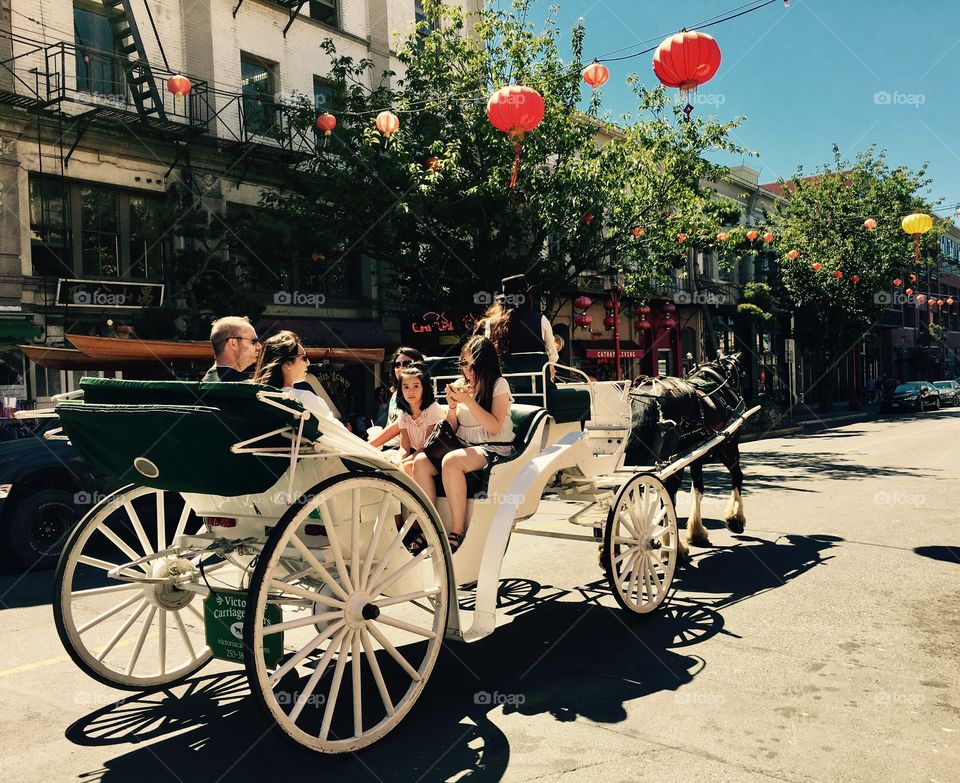 Horse Carriage Ride in Chinatown