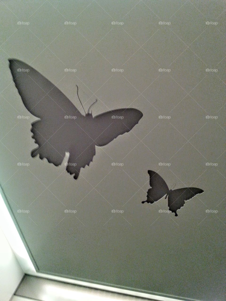 Butterflies on Elevator. Cool ceiling in the elevator at Children's Hospital in Columbus,  Ohio.