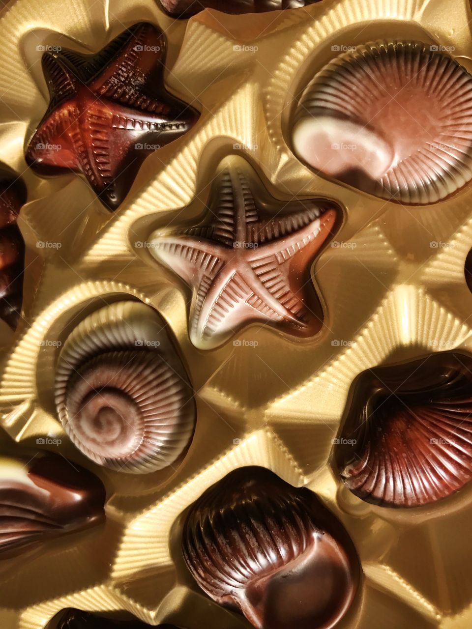 Chocolate seashells