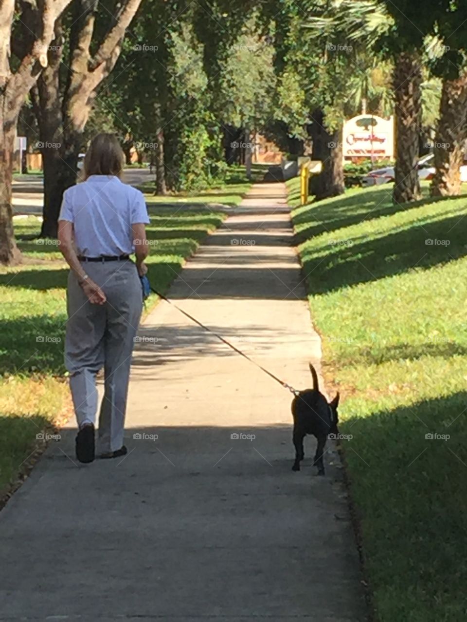 Walking the dog