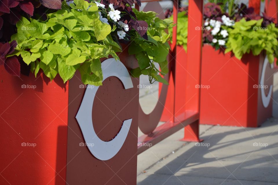 Loved seeing all the beautiful planter boxes all around Cincinnati, but these were probably my favorite. ❤️⚾️