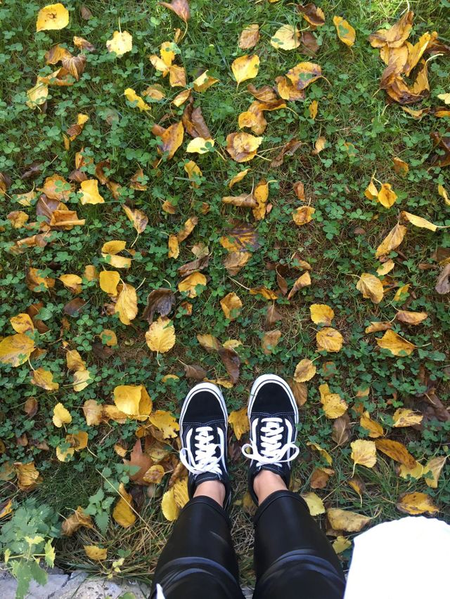 Autumn 🍂
