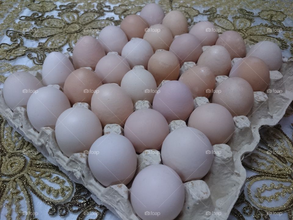 Eggs