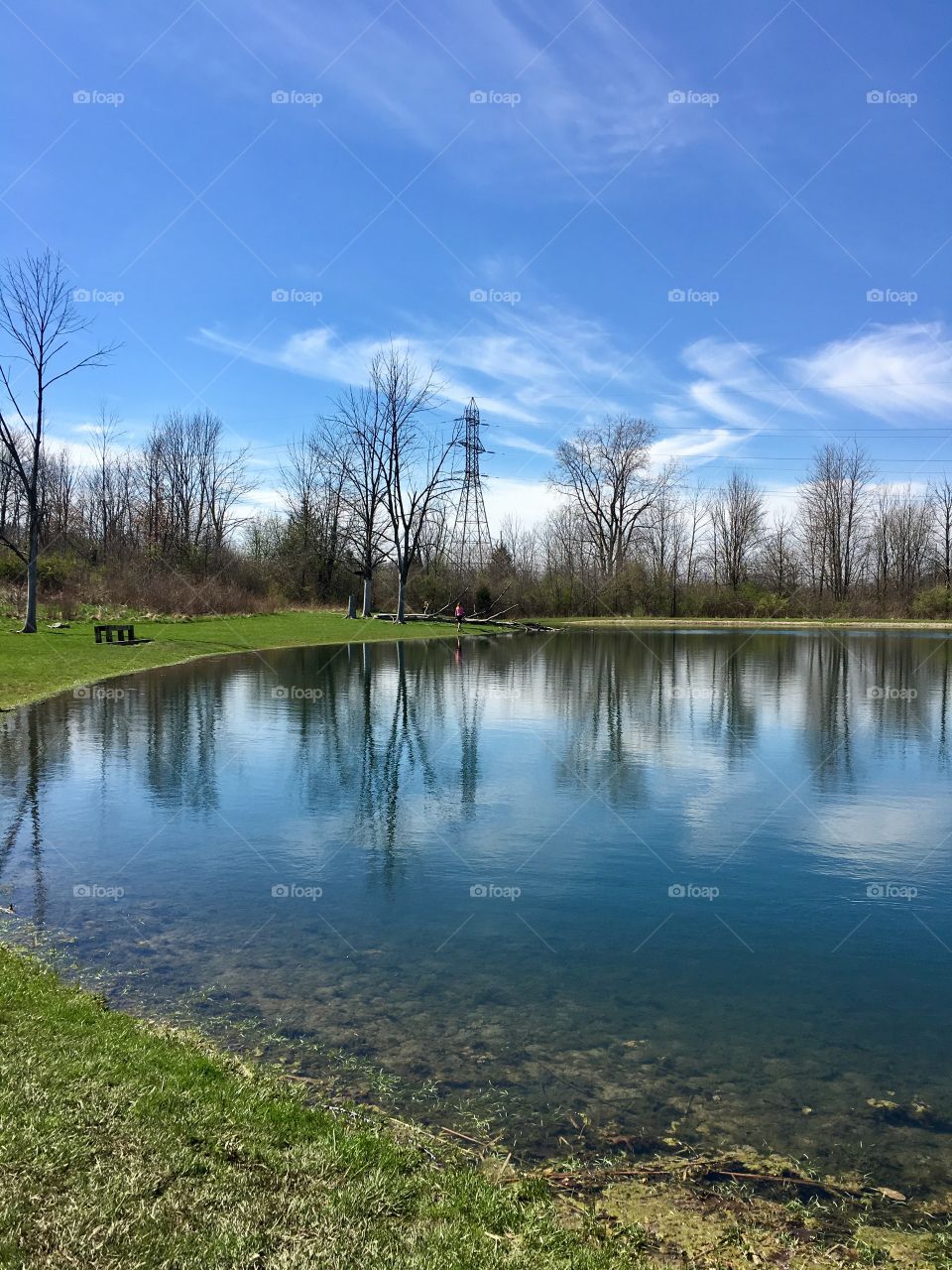 Reflections at a pond in Ohio 