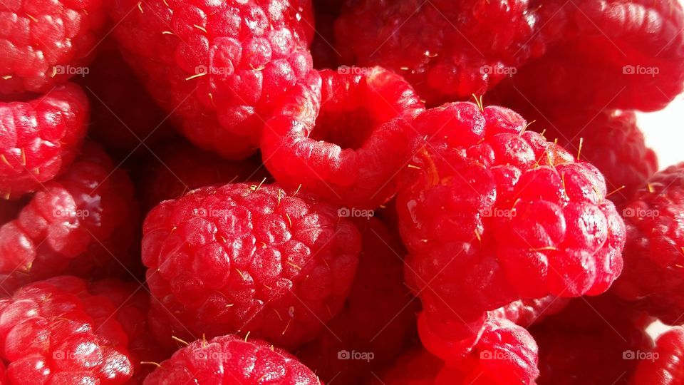 Full frame shot raspberries