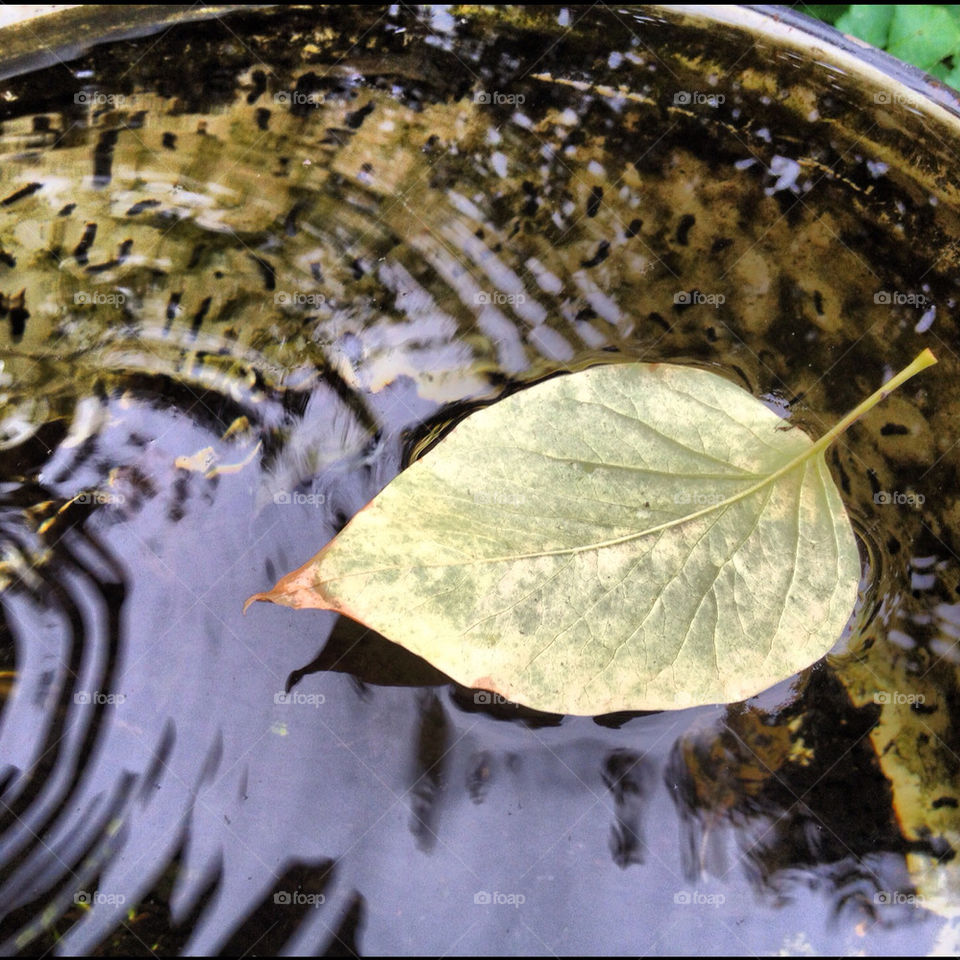 light nature close water by nakoda