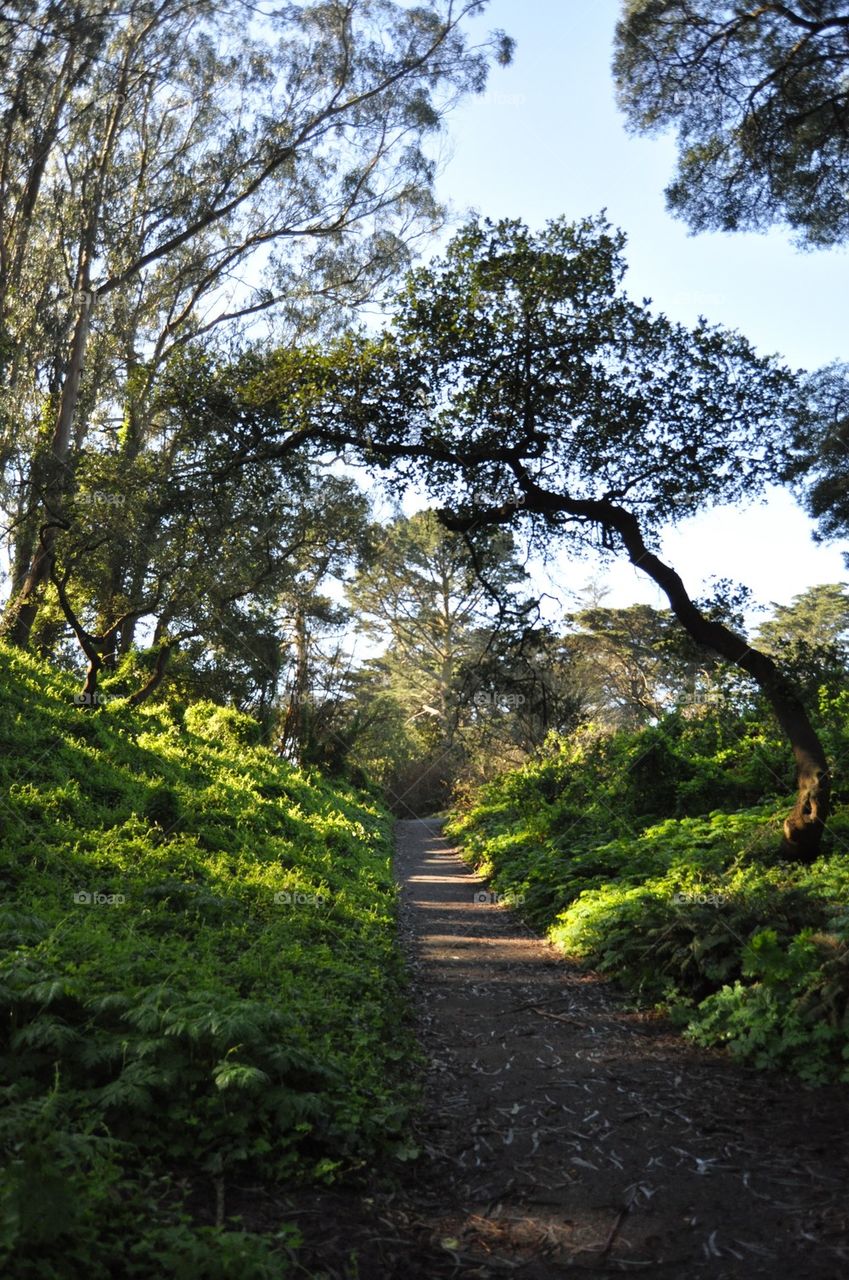 Path california