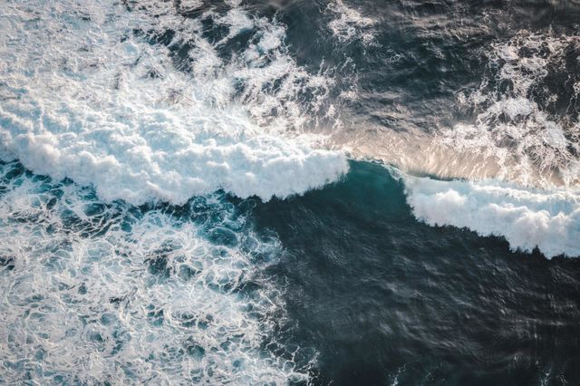 ocean beauty