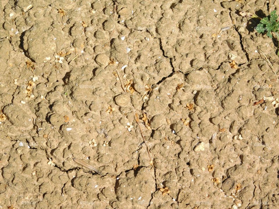 dry earth