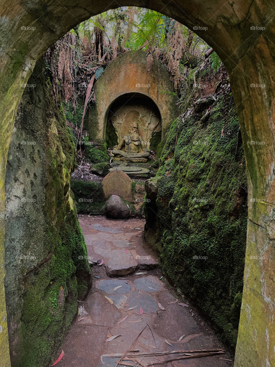 Forest sanctuary in Melbourne 