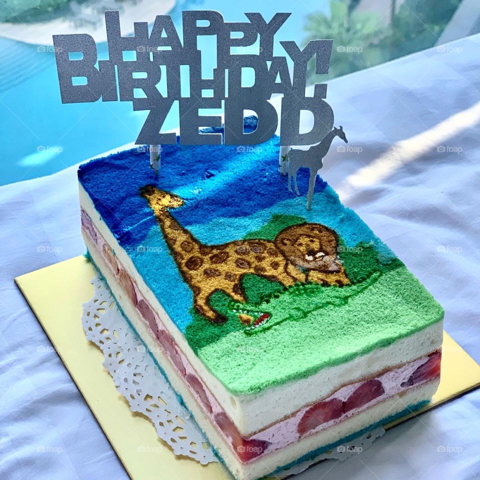 Hand drawn homemade animal happy birthday cake for kid 
