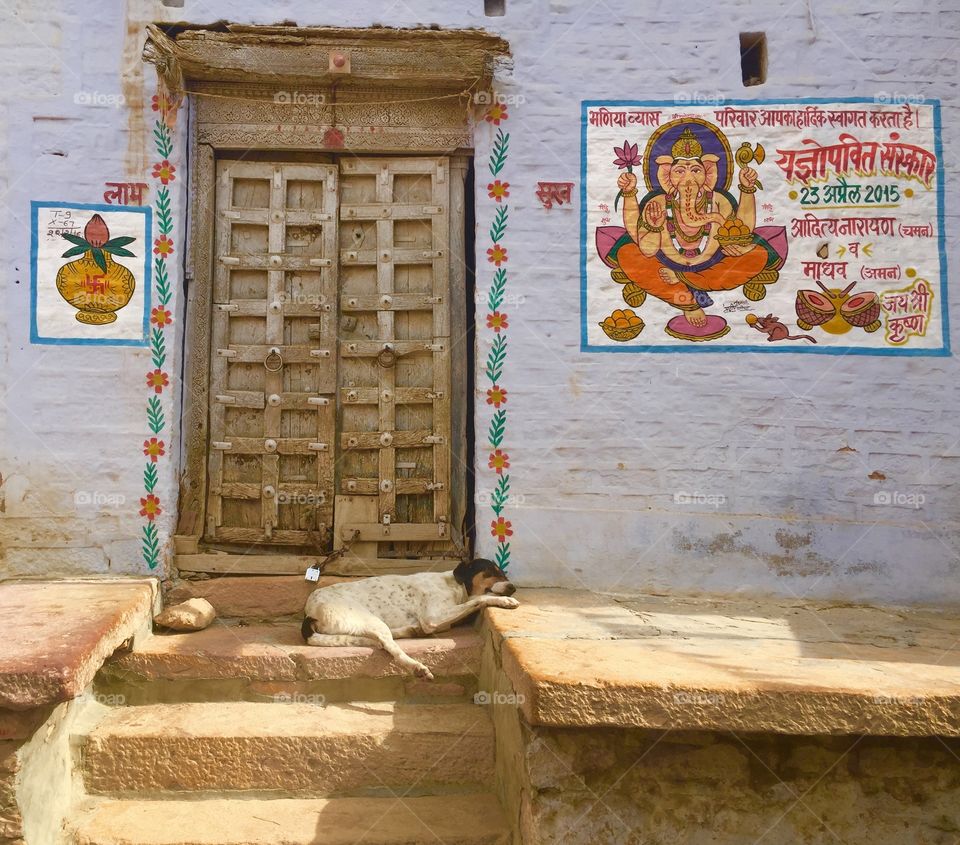 Sleeping dog on the stoop.