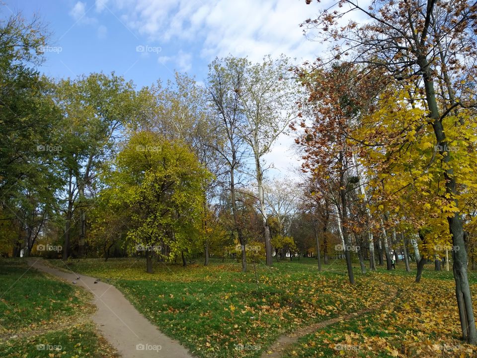Cherkasy, park
