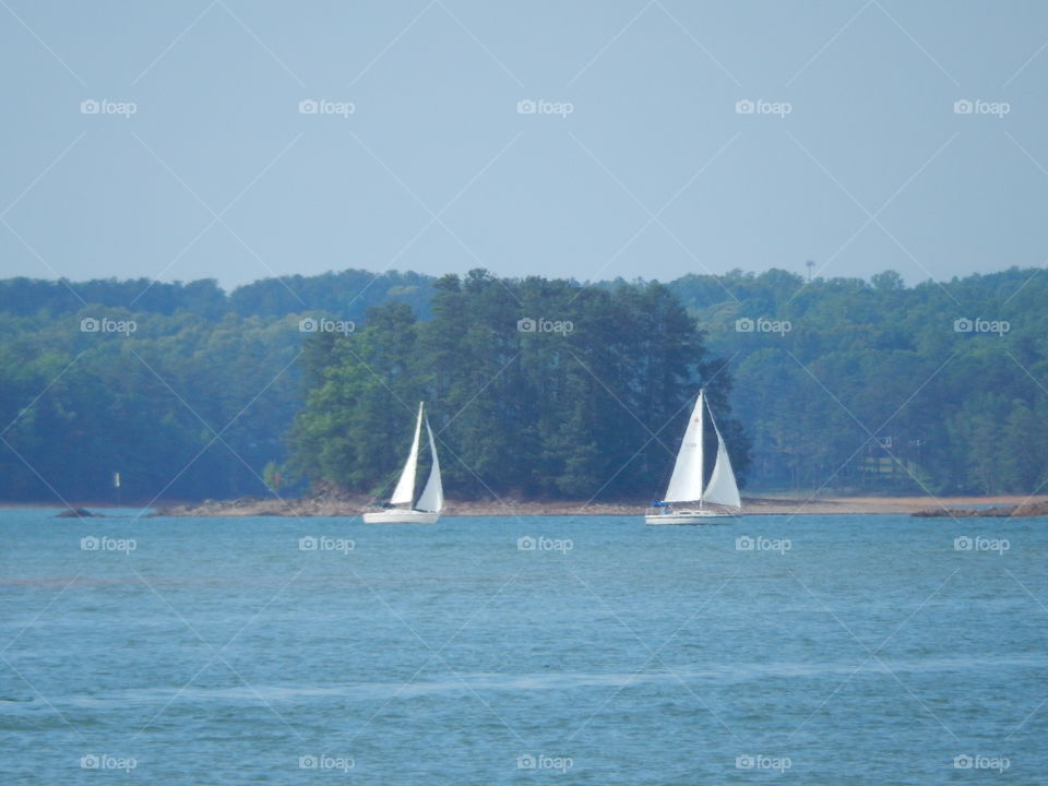 Sailboats 