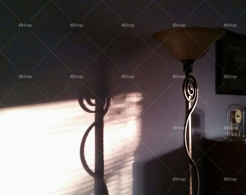 curly shadow on wall