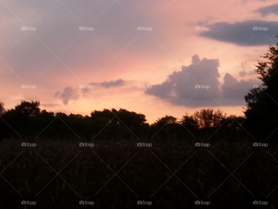 Sunset, Landscape, Dawn, Tree, Sun