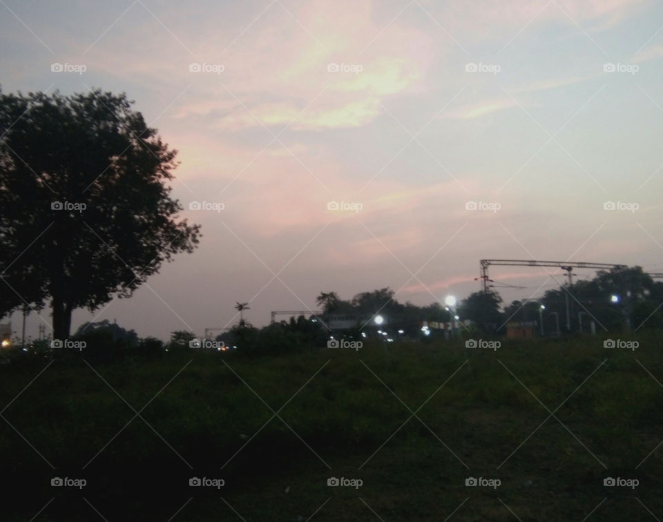 A photo in the evening of autumn,a photo of the autumn season,a photo of the beginning of the younger days,a photo of a wonderful season,a photo of a season,a photo of a beautiful autumn evening,a photo of a happy evening,real photo,natural photo