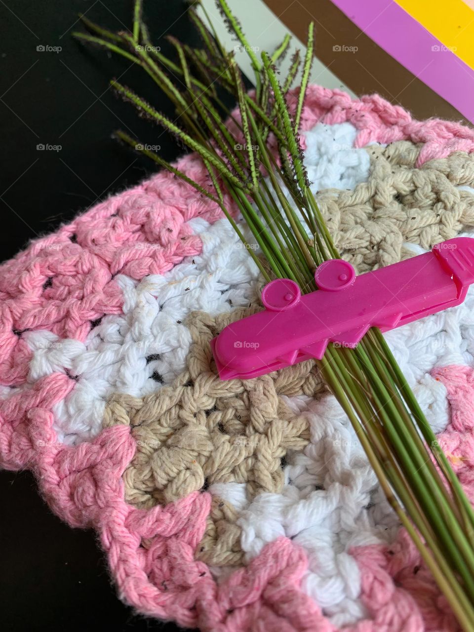 Crochet cotton cloth, pink, white and brownish beige with a bunch of long Bahia grass also called Paspalum notatum Flüggé in the family of Poaceae, held together with a pink crocodile face clip after gathering, laying with colorful background.