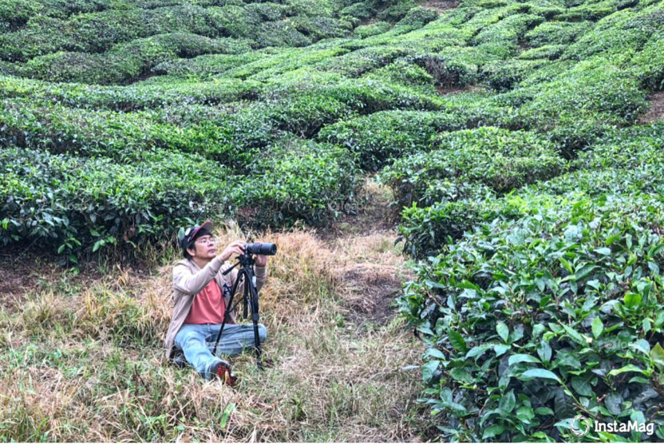 Enjoy to take photo at tea plantation