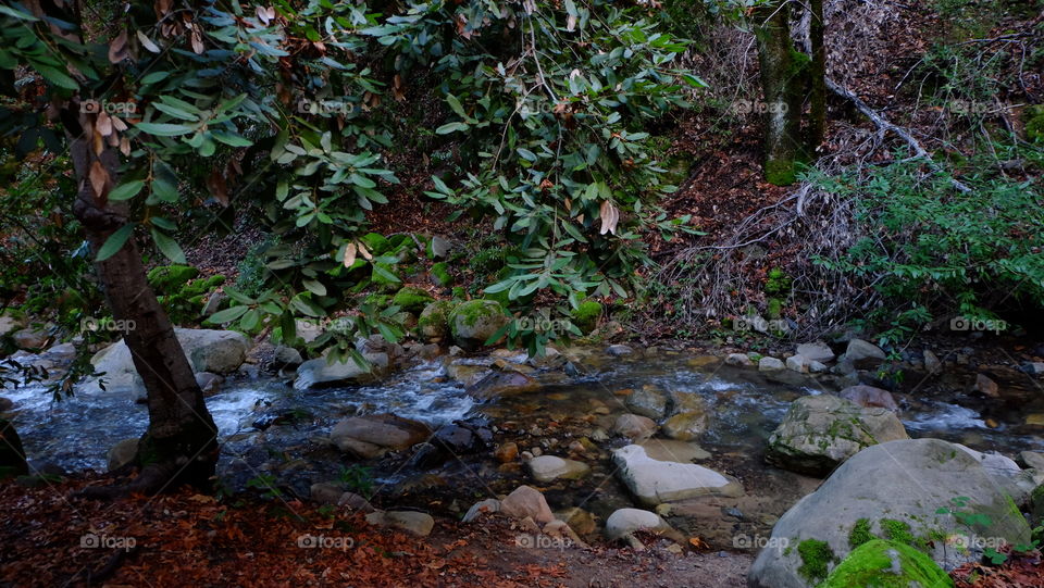 View of flowing water