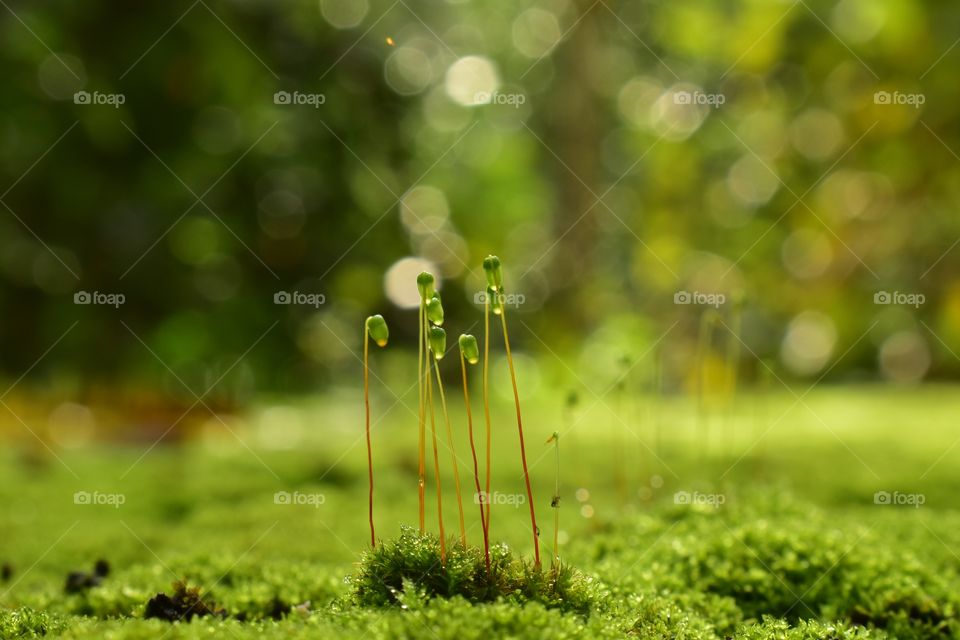 after rain when sun shines