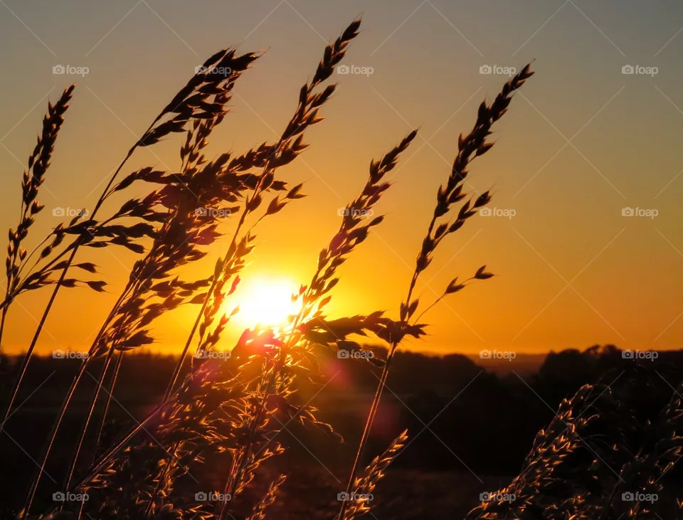 Sunset