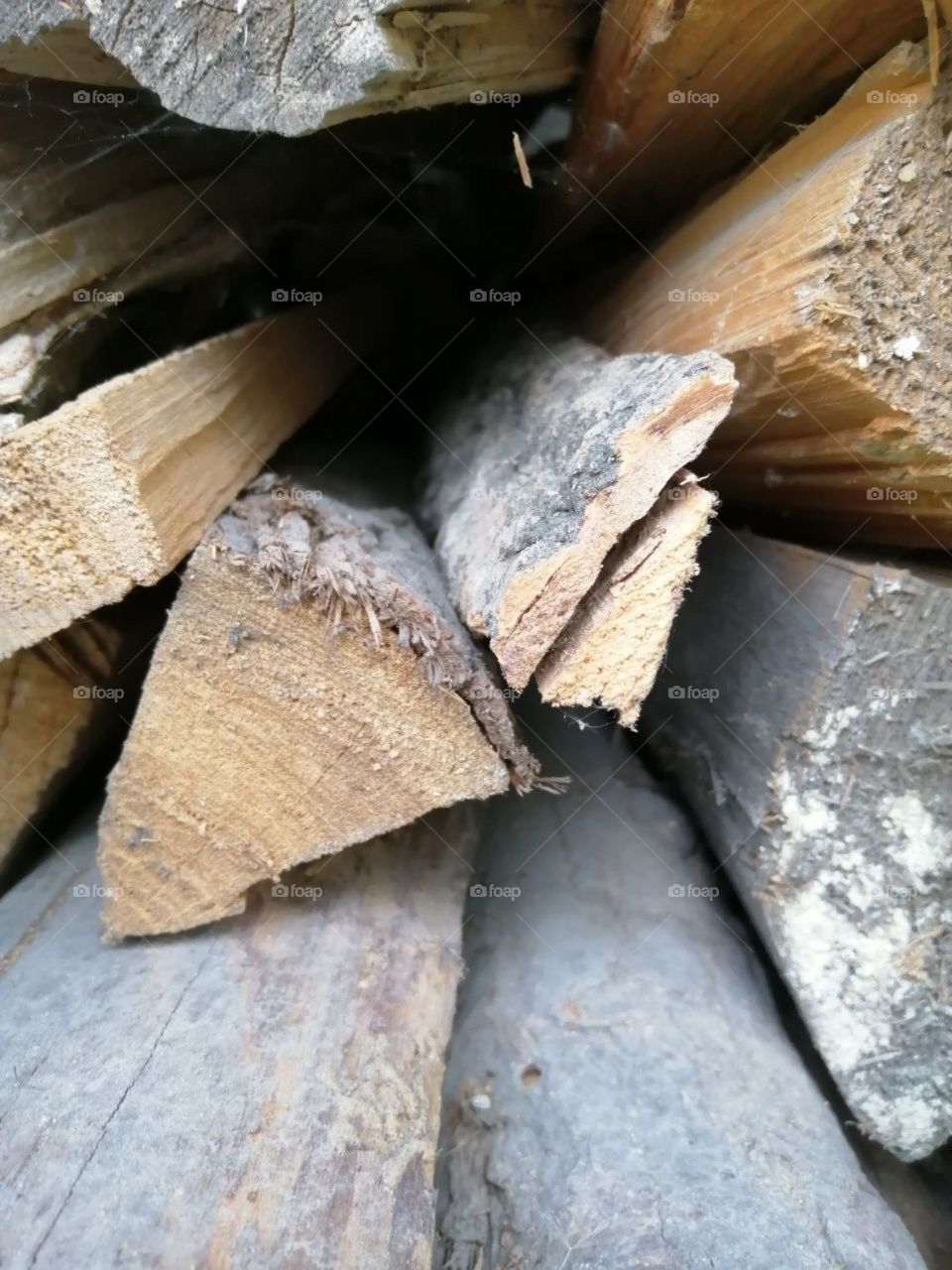 old dry dusty pine pine aspen aspen firewood in a stack