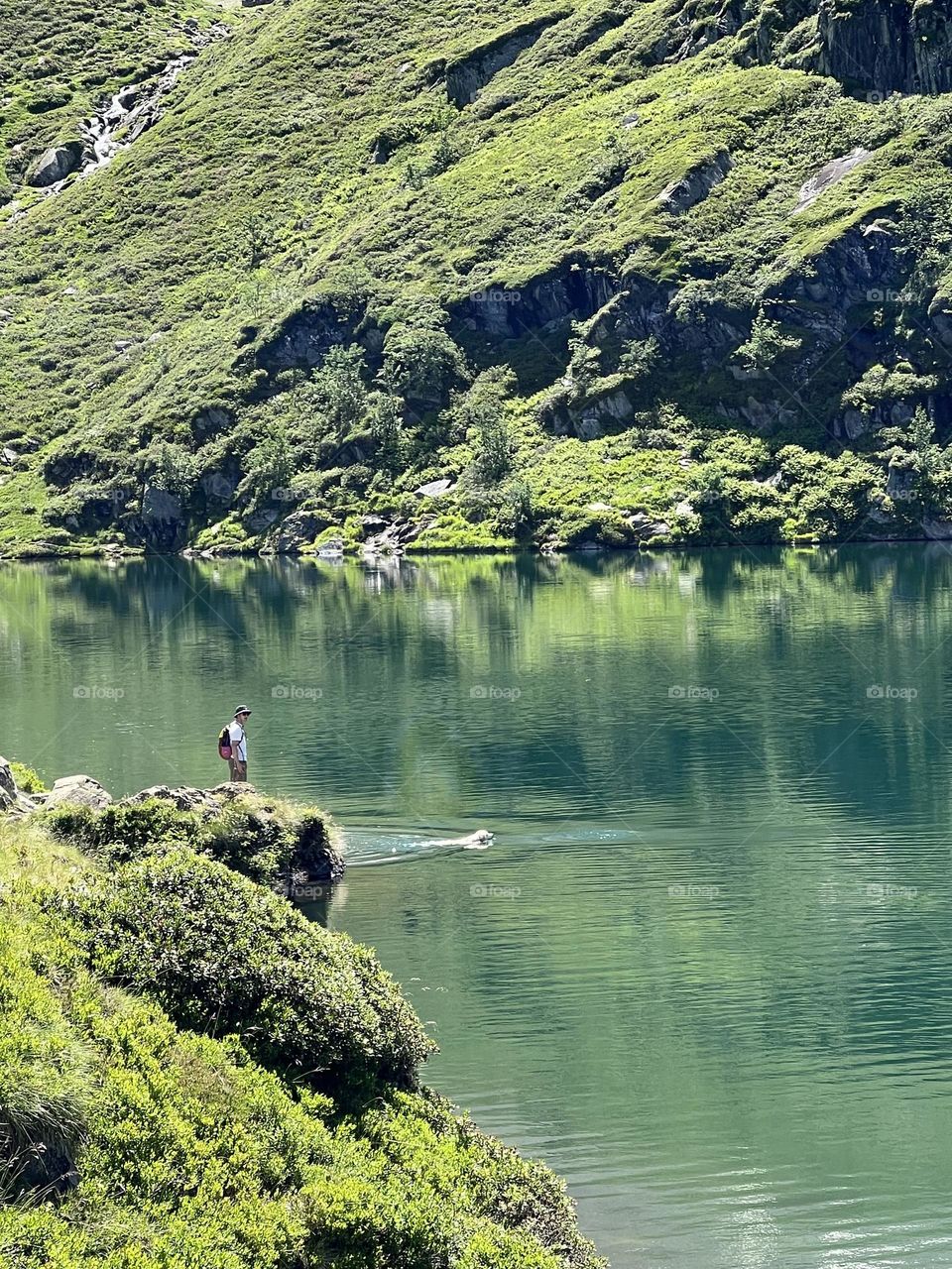 Greenery in the Pyrenees 