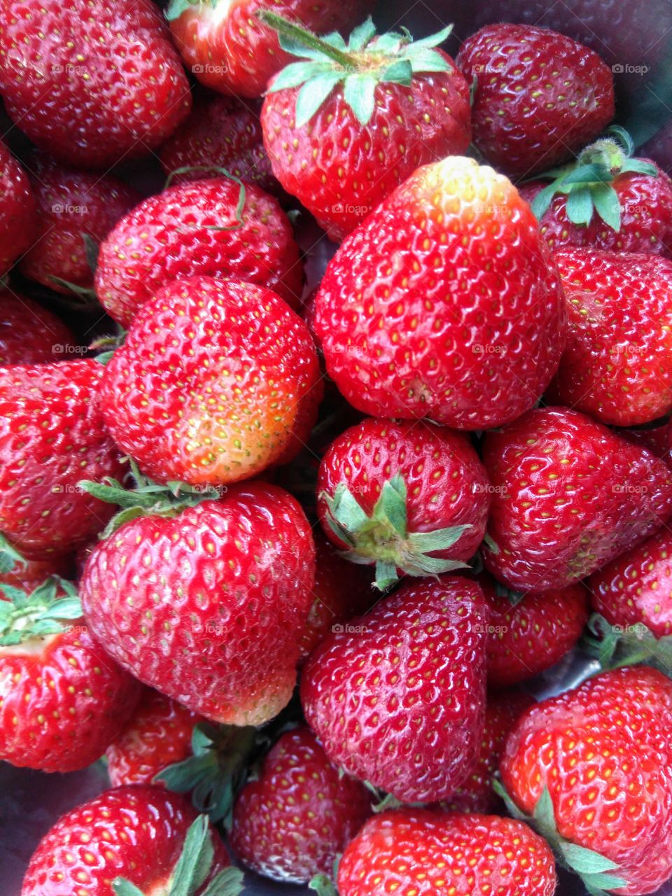 strawberries summer food texture background