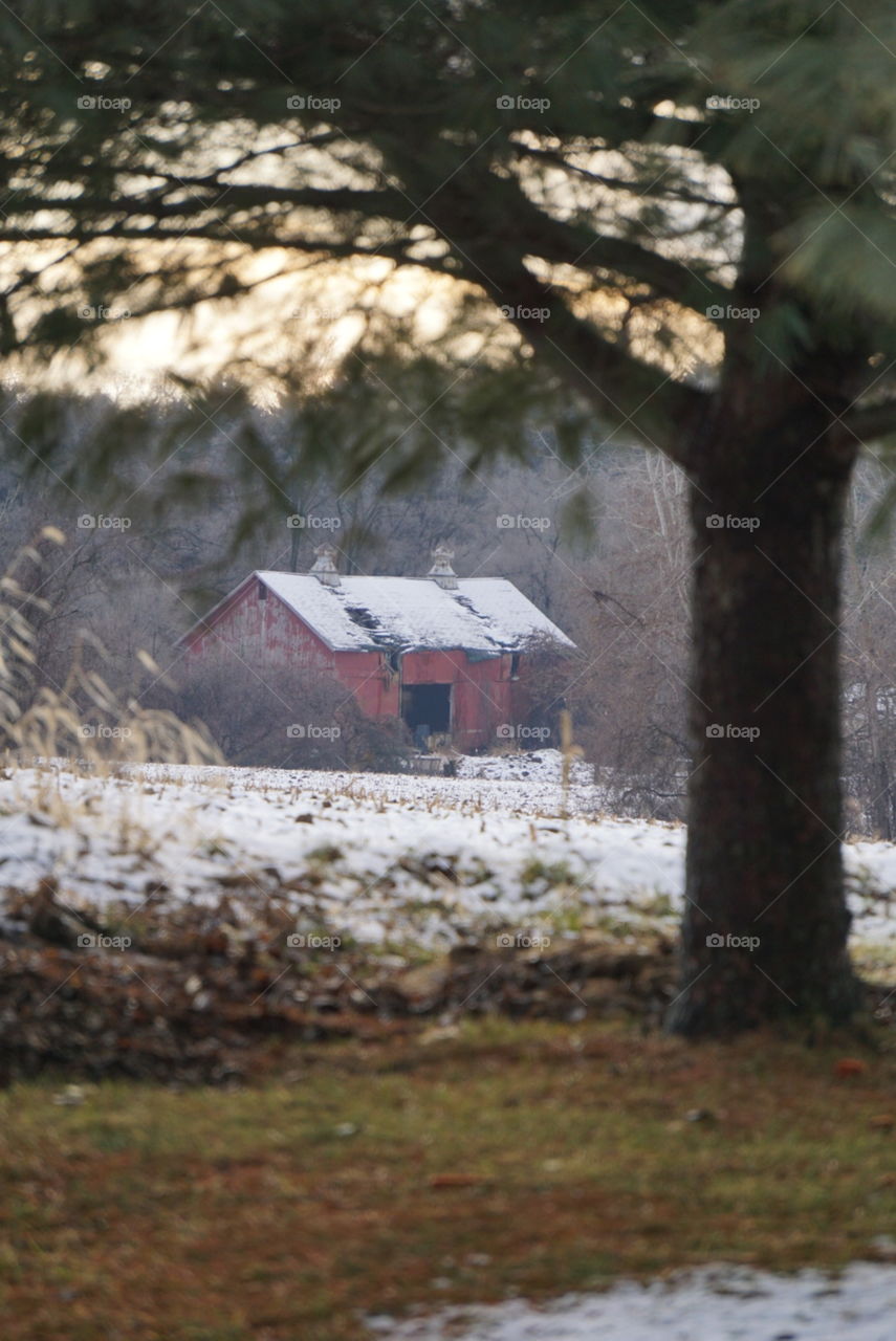 Rustic, red barn on the horizon. 