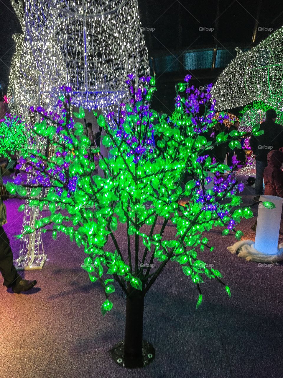 Christmas lit tree at aurora winter festival 