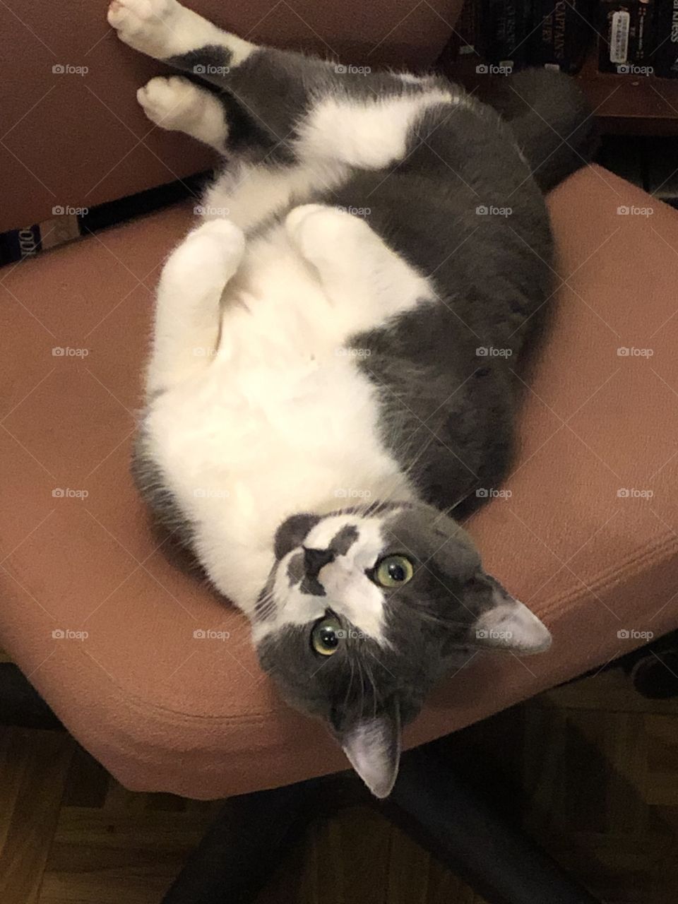 You no sits till I eats!